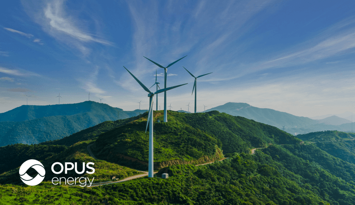 Opus energy case study cover image